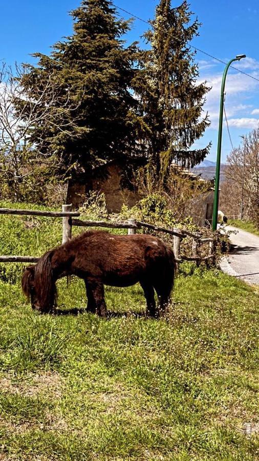 Residence Villa Gioia San Severino Lucano Zewnętrze zdjęcie